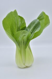 Roher Pak Choi behält alle Vitamine und Antioxidantien